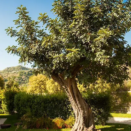 Alcantara Di Charme 4* Gaggi